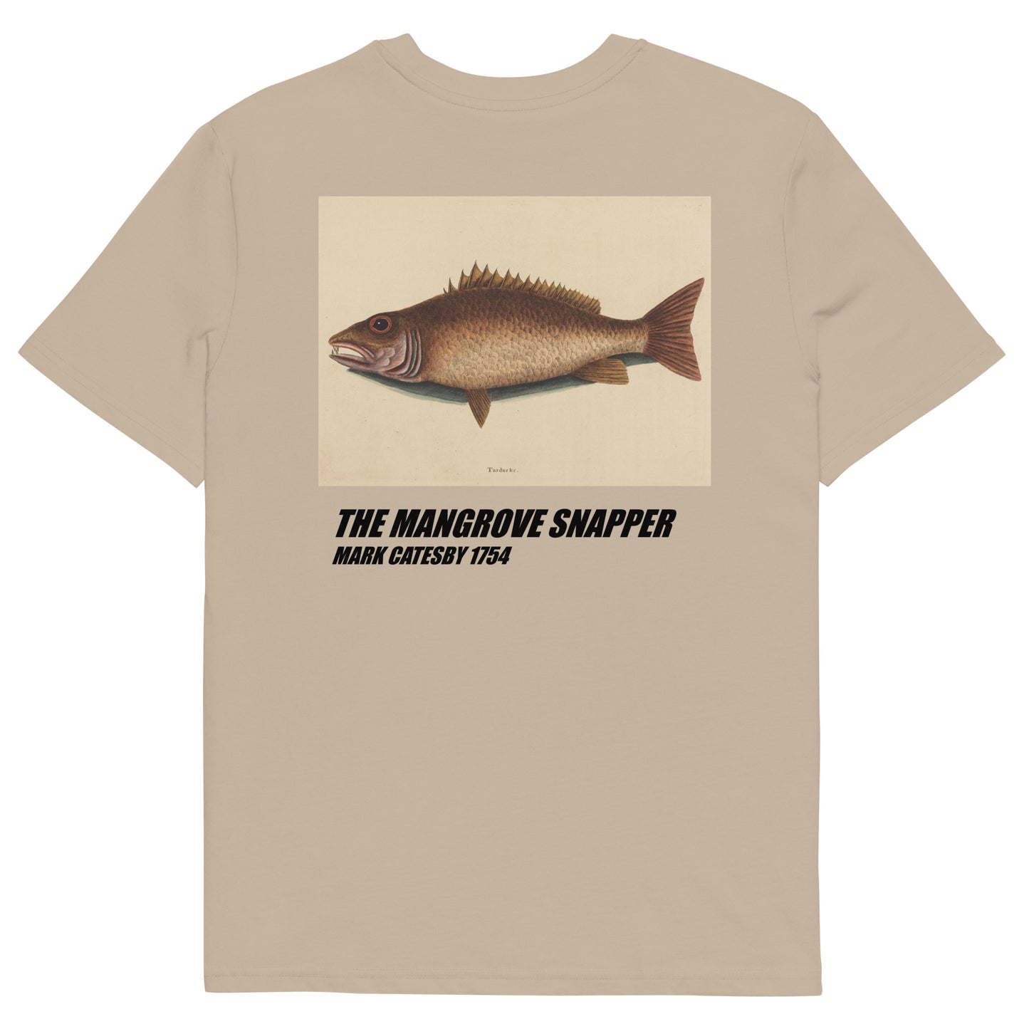 The Mangrove Snapper